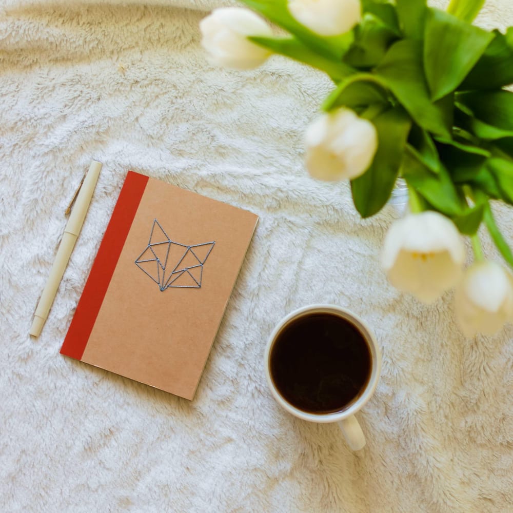 Instagram Photography for Product-based Business Owners - image 2 - student project