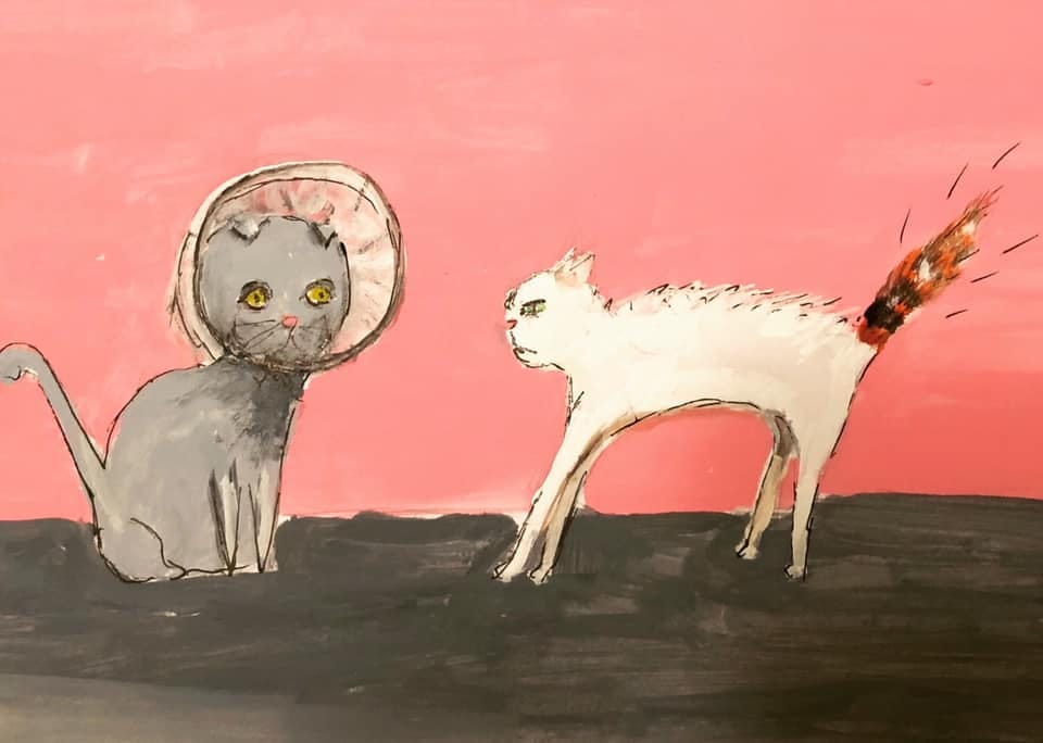 The cone of shame Skillshare Student Project