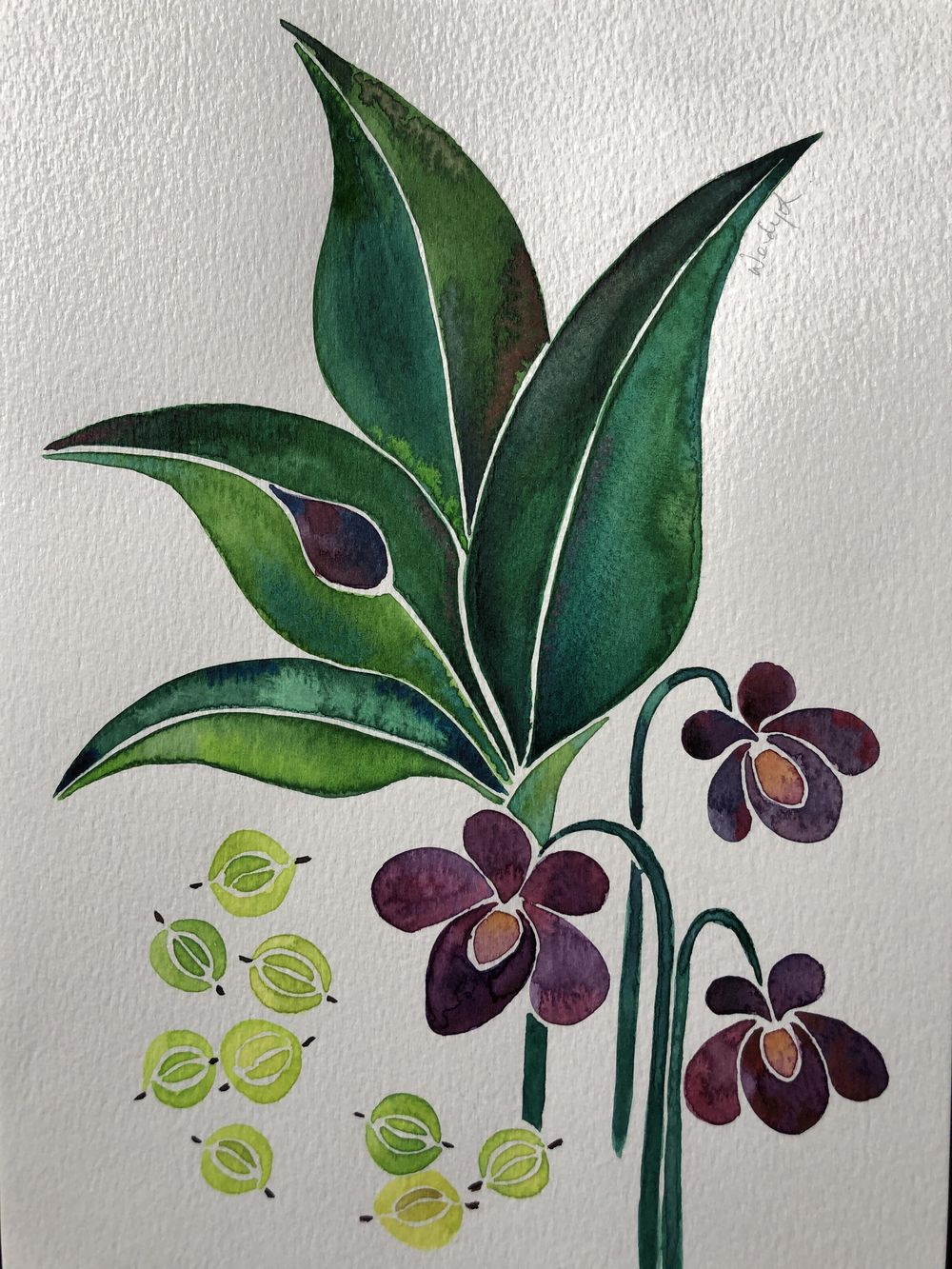 Fruits and Florals in Watercolour - image 4 - student project