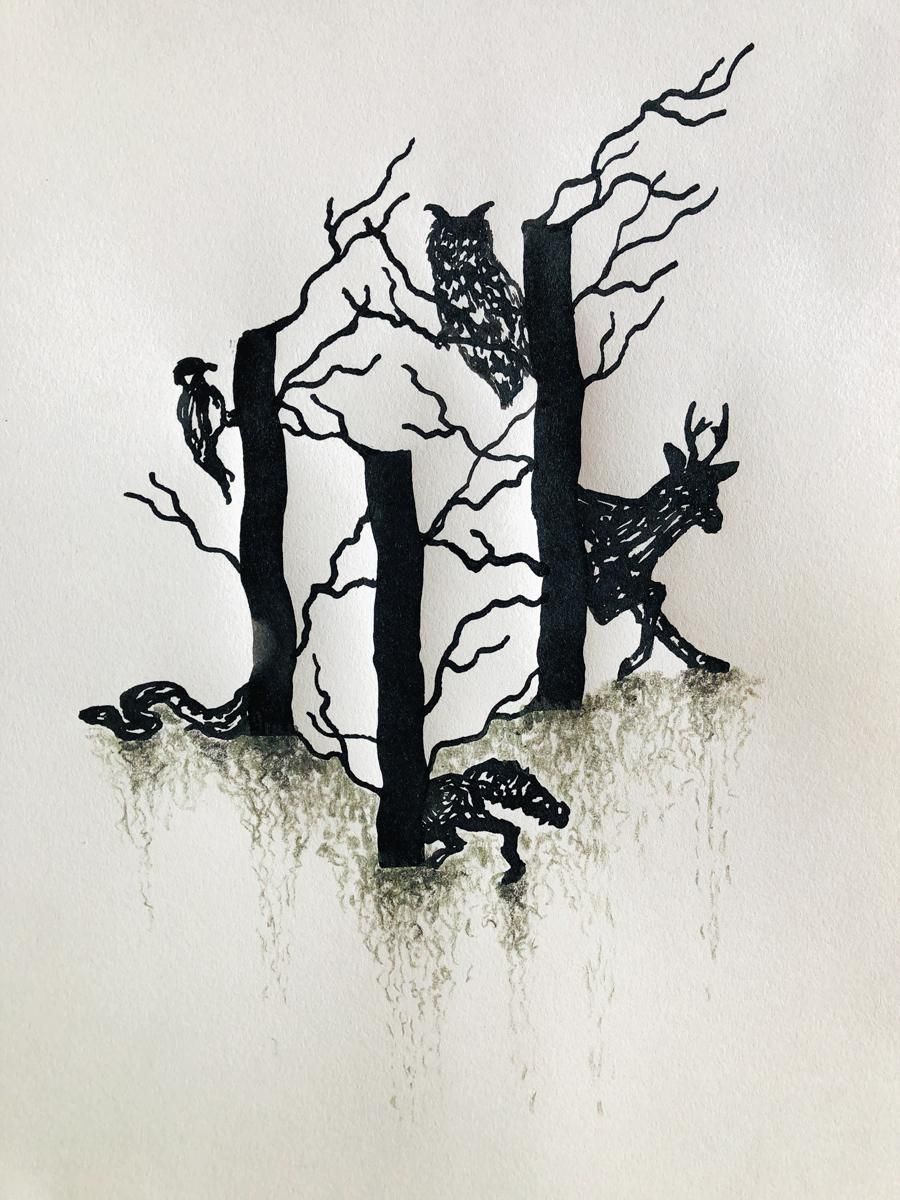 Fearless Drawing Challenge - image 7 - student project