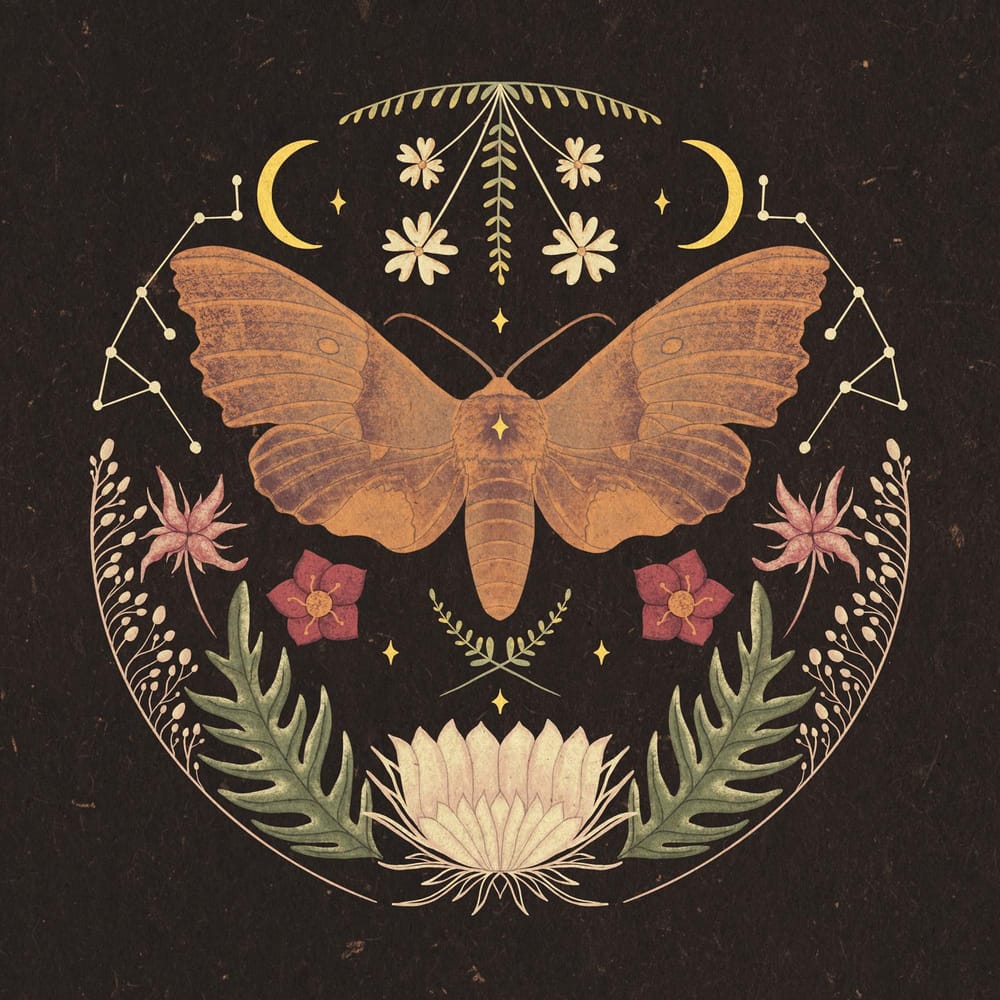 Moth folk illustration - image 1 - student project