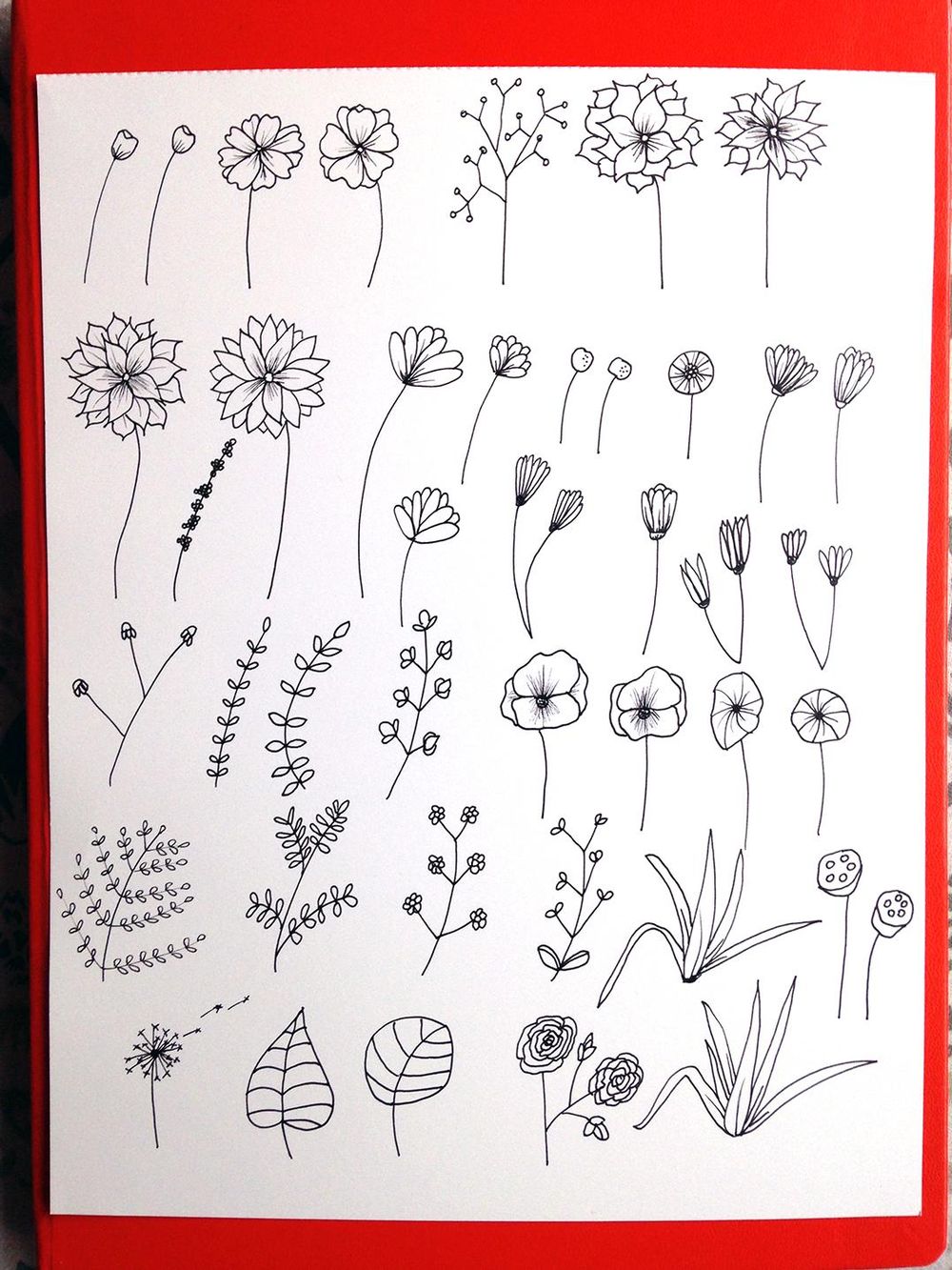 Bullet Journal Botanicals - image 5 - student project