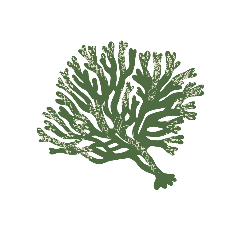 Seaweed Wallpaper (Class Example) - image 8 - student project