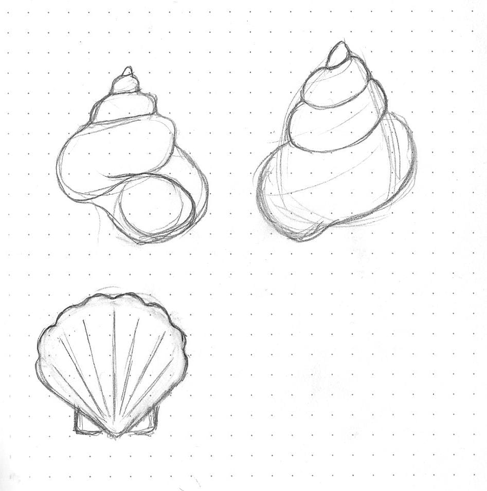 Simple Seashell Pin - image 2 - student project