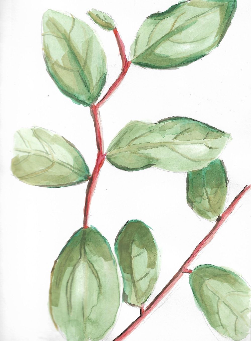 Jes's drawings - image 1 - student project