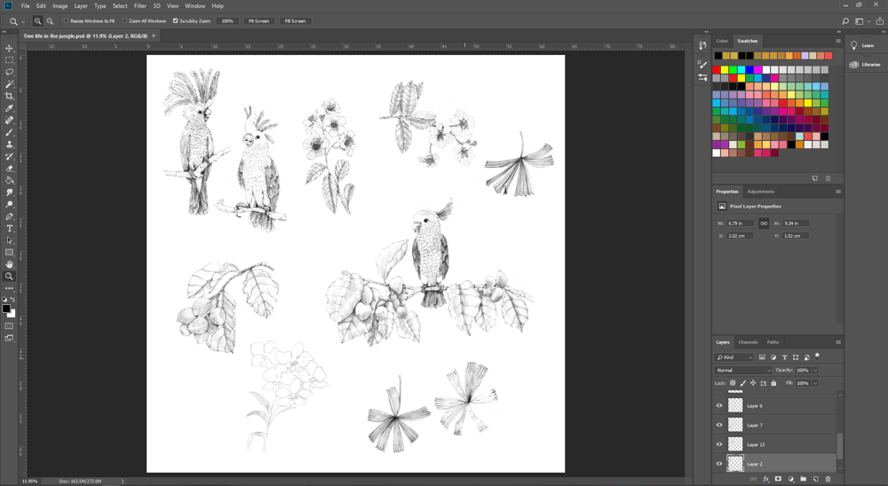 Tree life in the jungle - image 2 - student project