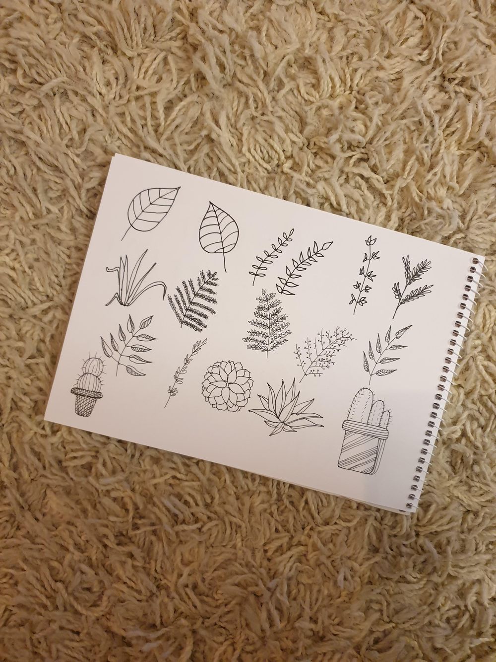 Botanicals, worms and dancing bear cubes - image 2 - student project