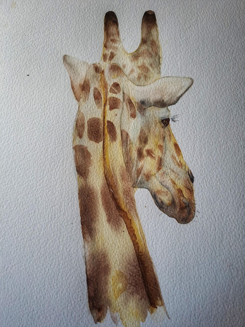 Giraffe - image 1 - student project