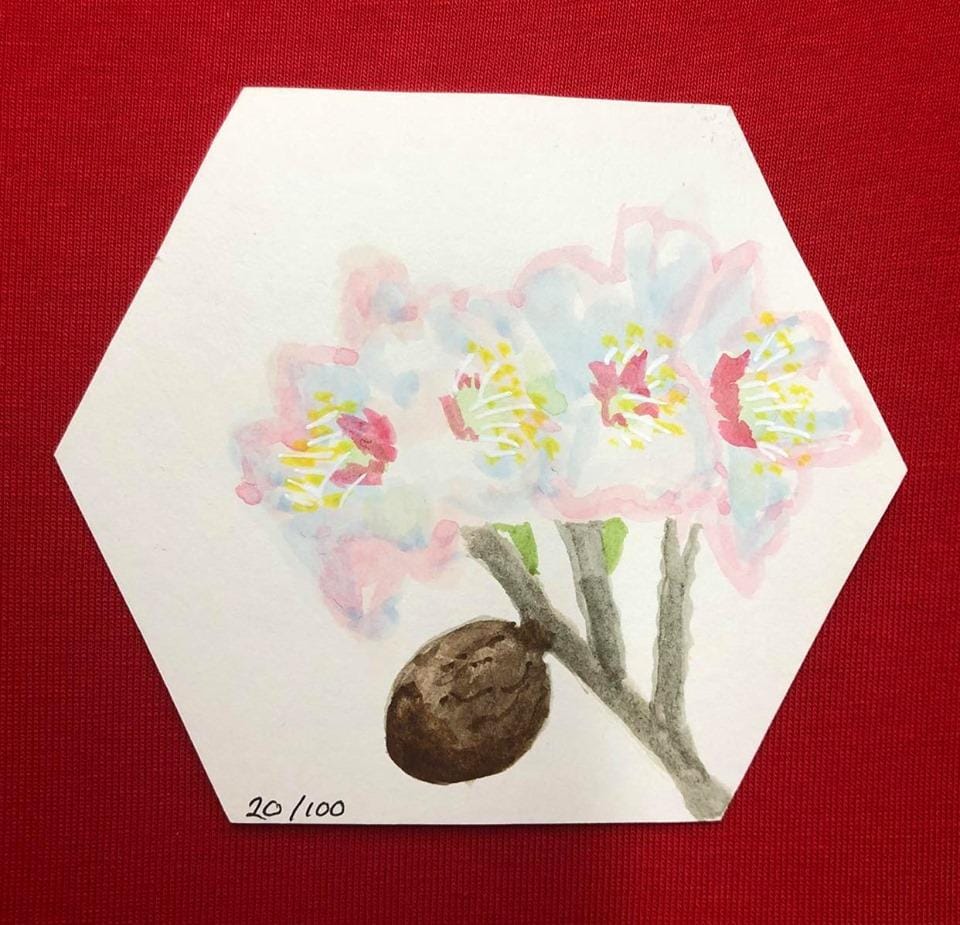 Learning anew - image 21 - student project