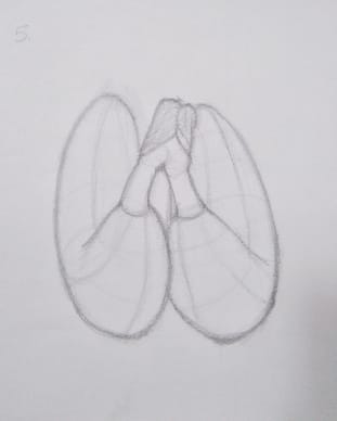Organic Forms and Boxes - image 1 - student project