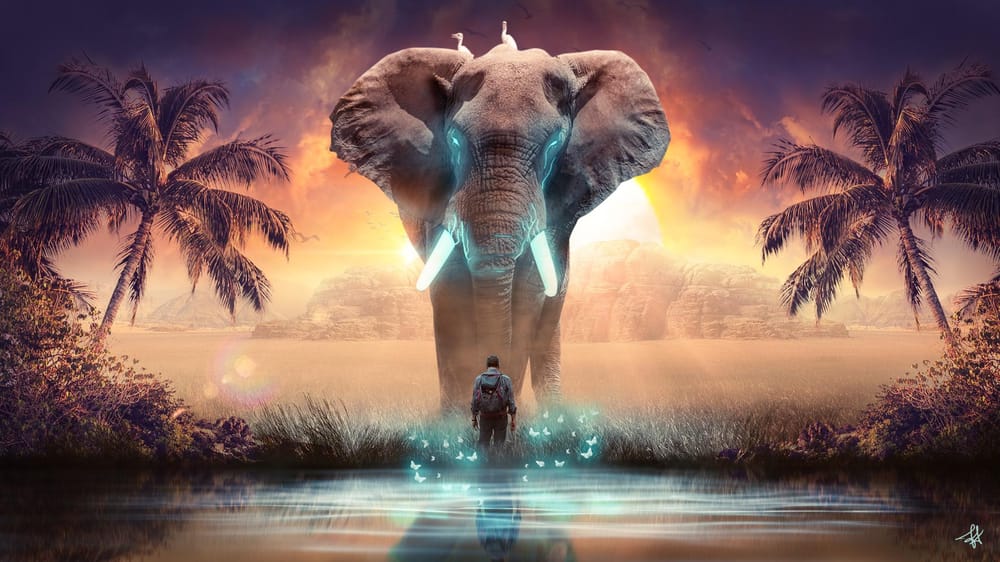 Eléphant Mystérieux - image 1 - student project