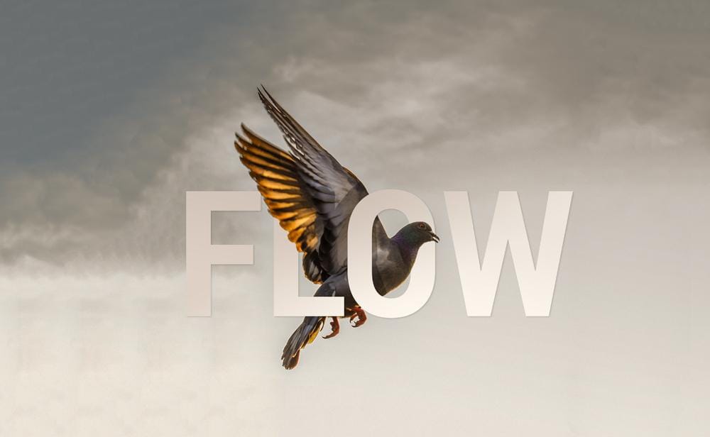 Adobe Photoshop CC – Essentials Training Course - image 11 - student project