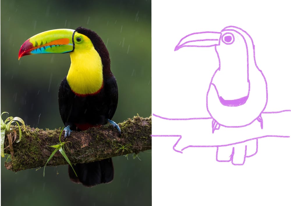 Week 1: Upside Down & Shape Method - image 2 - student project