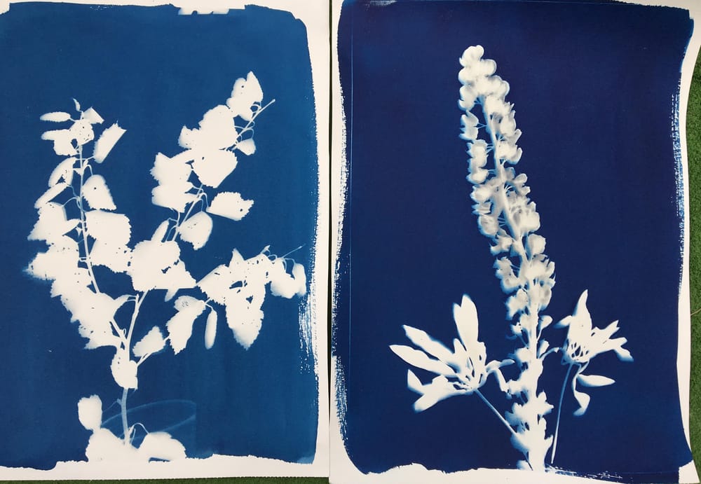 Lettering with cyanotype - image 1 - student project