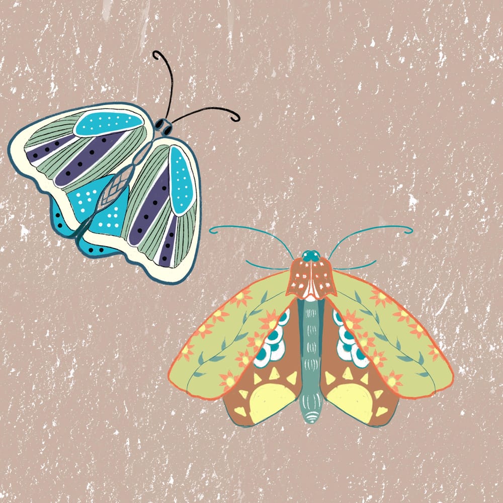 6 hours later 1 butterfly ;) - image 2 - student project