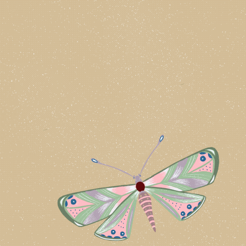 6 hours later 1 butterfly ;) - image 1 - student project