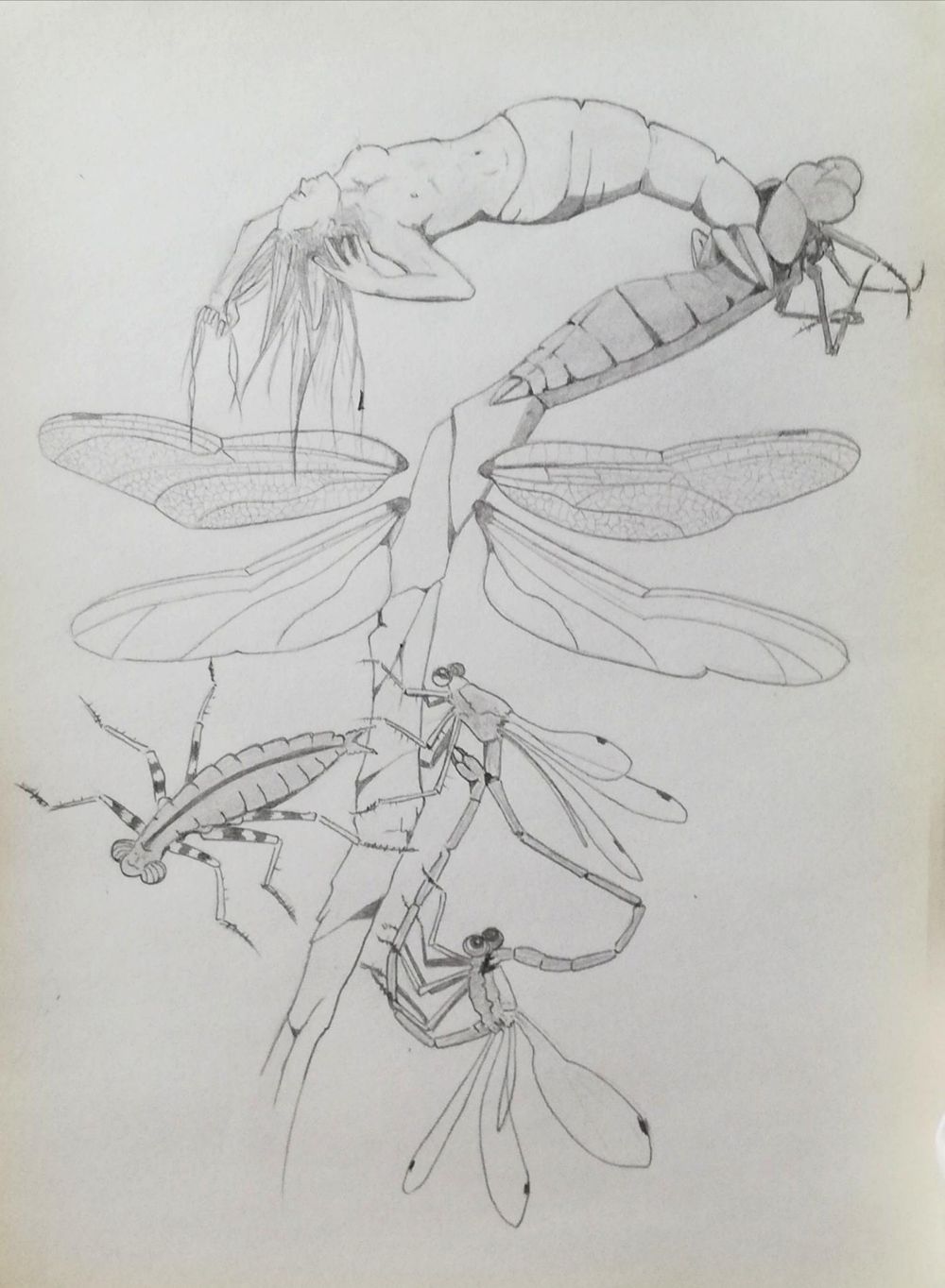 14-Day Drawing Challenge - image 6 - student project