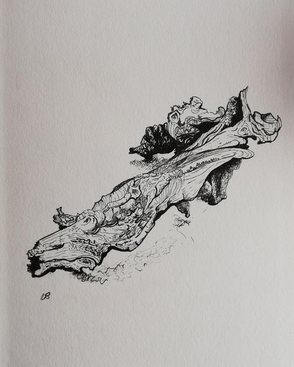 14-Day Drawing Challenge - image 12 - student project