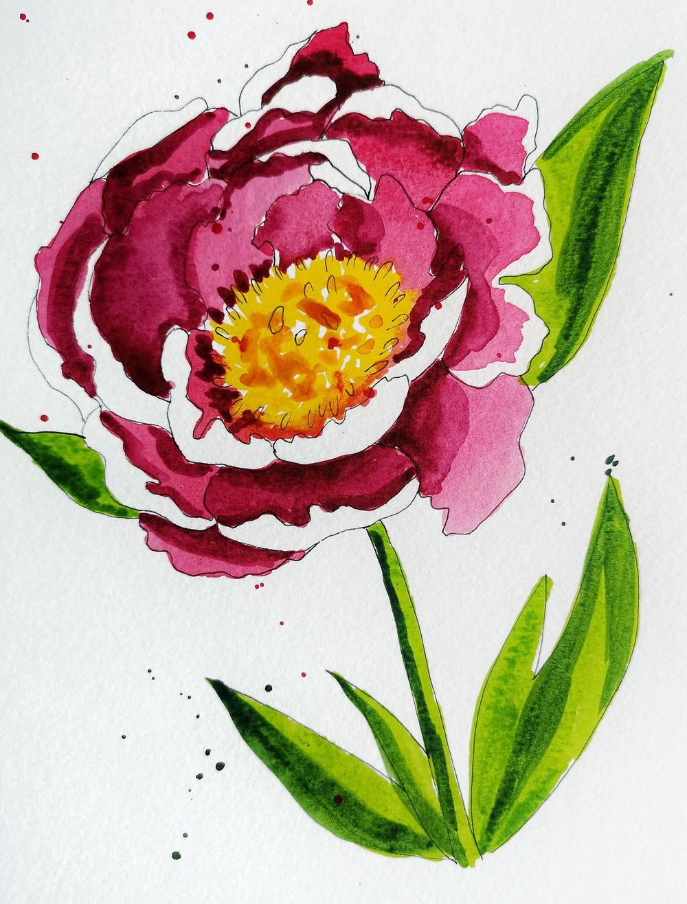 Peonies - image 1 - student project