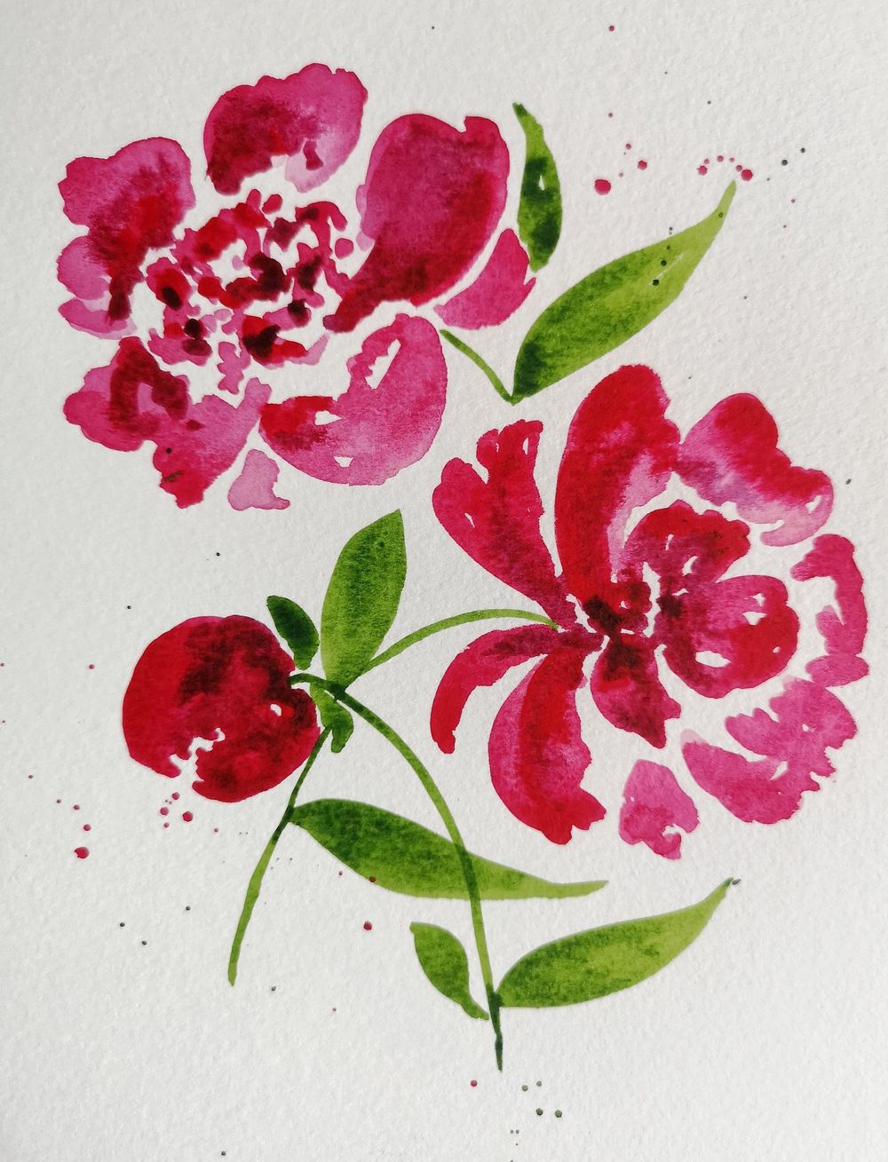 Peonies - image 2 - student project