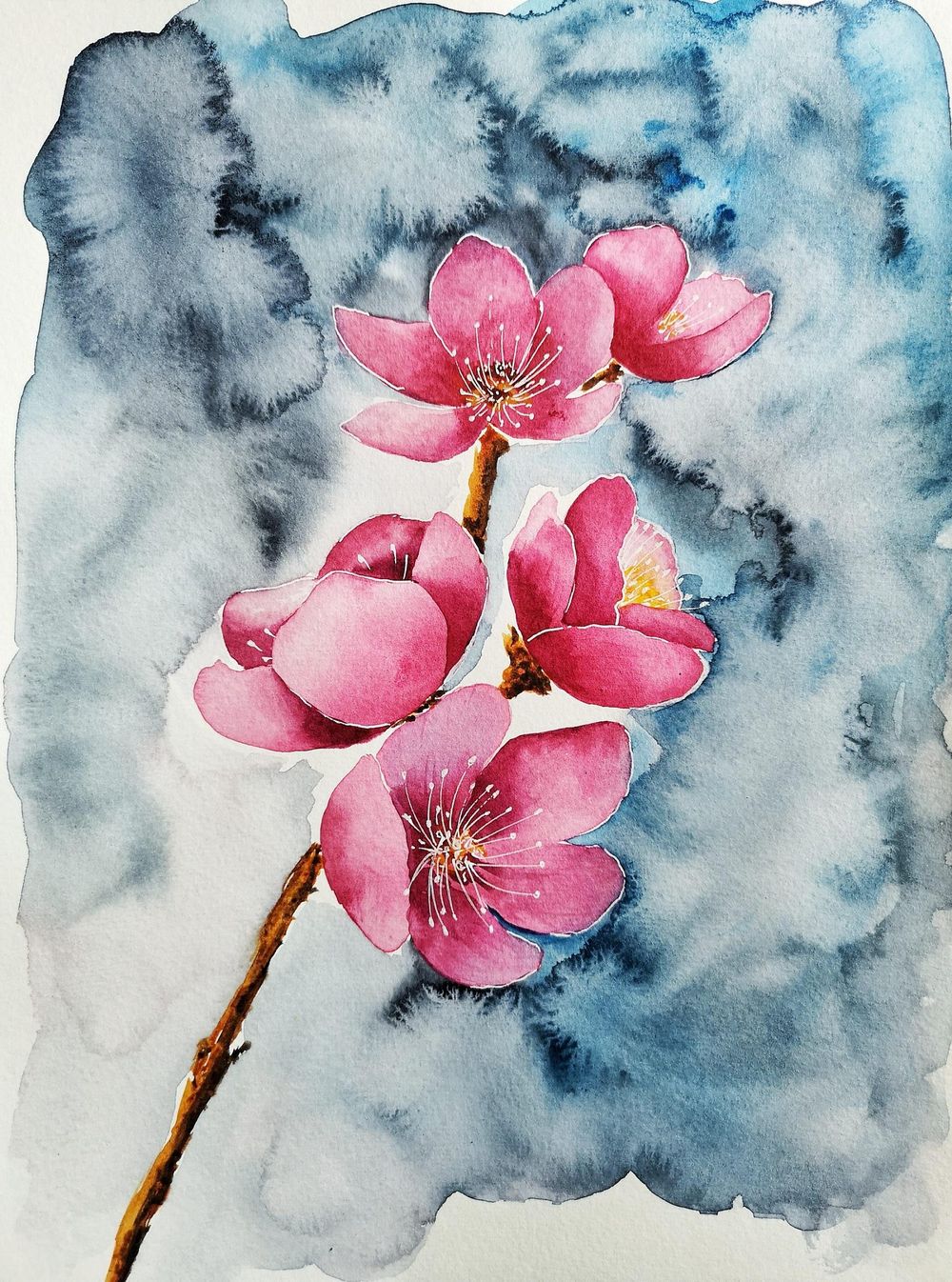 Cherry Blossom - image 1 - student project