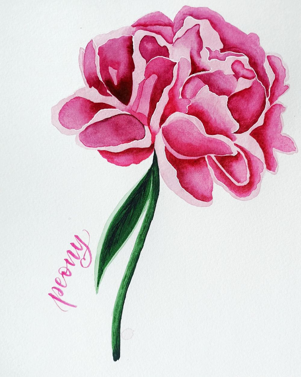 Peonies - image 3 - student project