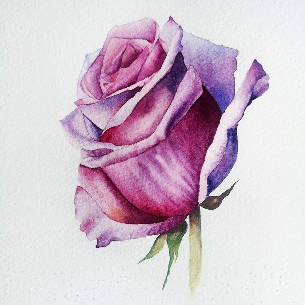 Watercolor Rose - image 2 - student project