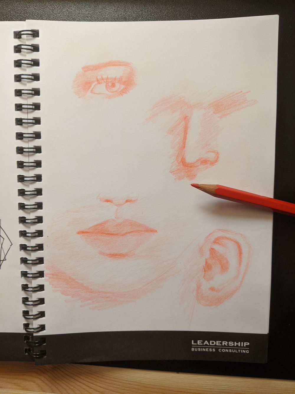 Pencil Portrait Sketch - image 1 - student project