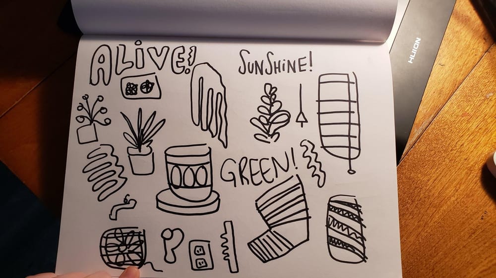Window Sill Observations - image 2 - student project