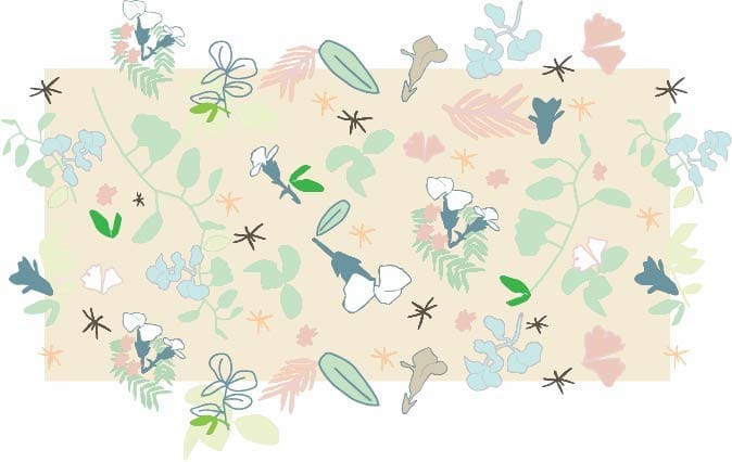 Brooklyn Botanicals - image 7 - student project
