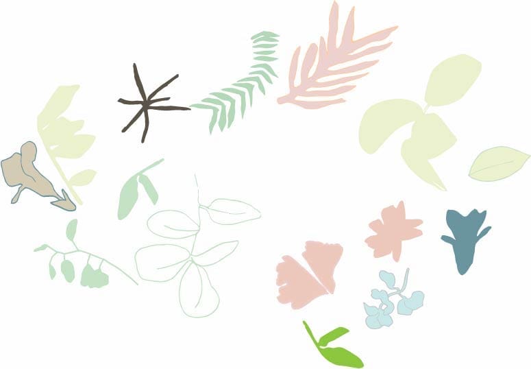 Brooklyn Botanicals - image 4 - student project