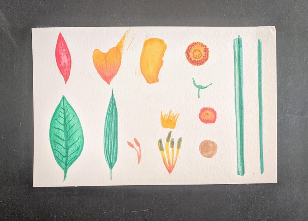 A Rewarding Challenge - image 2 - student project