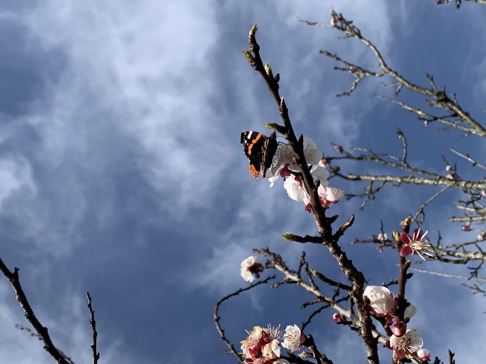 Smartphone photography - image 1 - student project