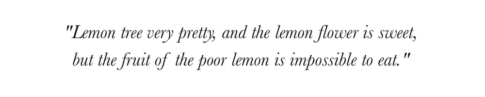 'Lemon Tree' Typographic Postcard - image 1 - student project