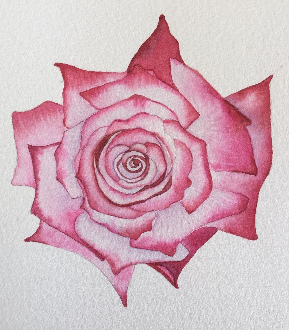 My Paradise Rose Card (A love letter) - image 1 - student project