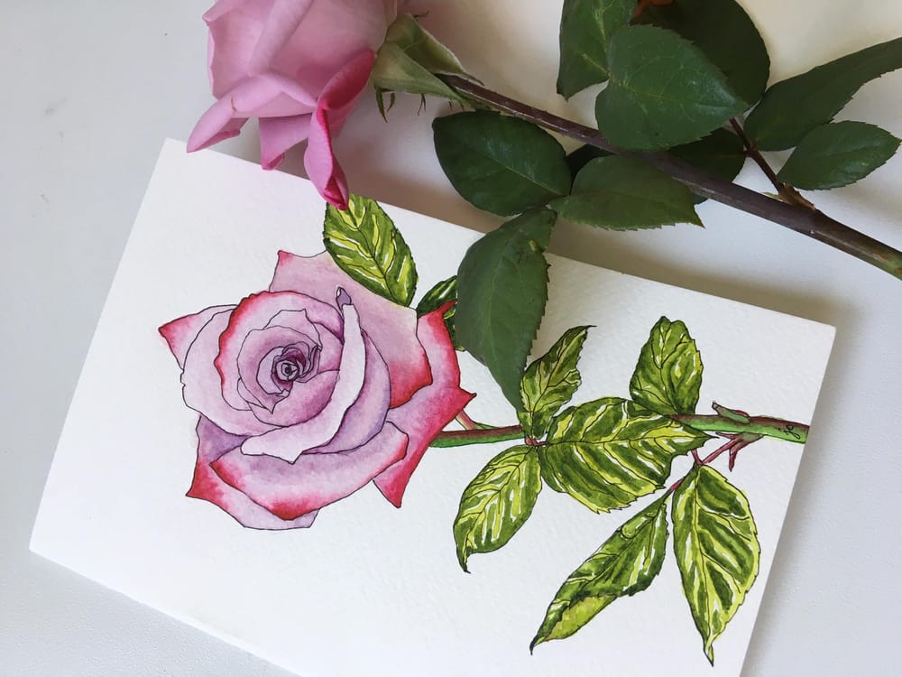 My Paradise Rose Card (A love letter) - image 2 - student project