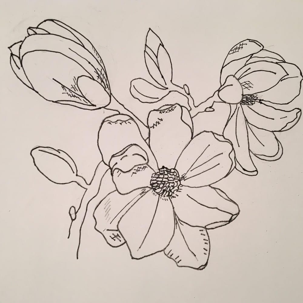 My Magnolia - image 1 - student project