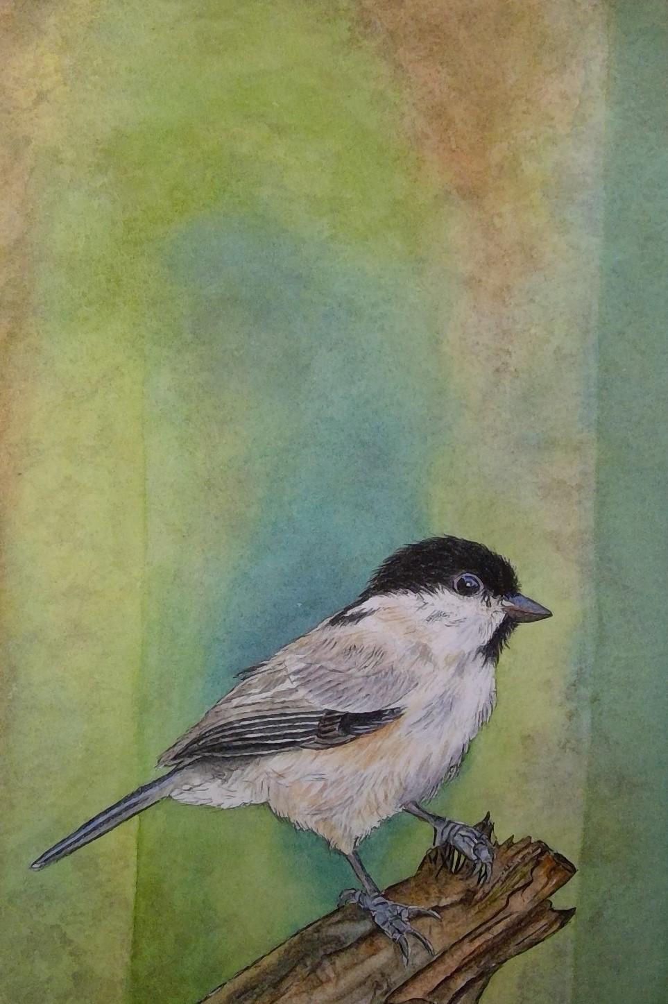 My Songbird - image 1 - student project