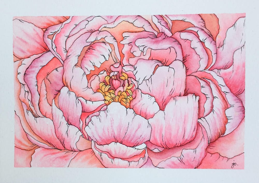 My Peony - image 1 - student project