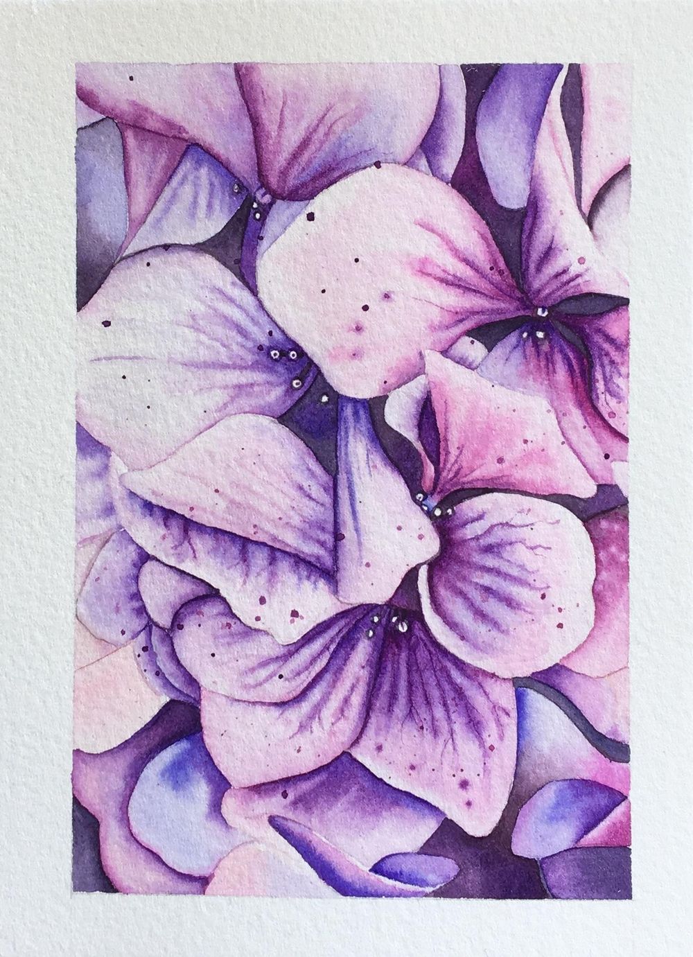My Hydrangea - image 3 - student project