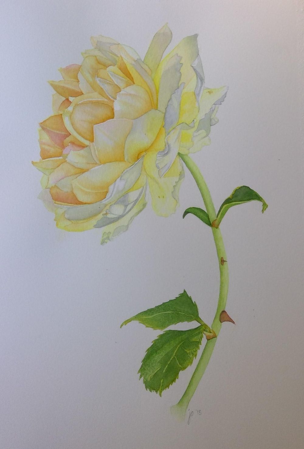 My Peace Rose - image 1 - student project