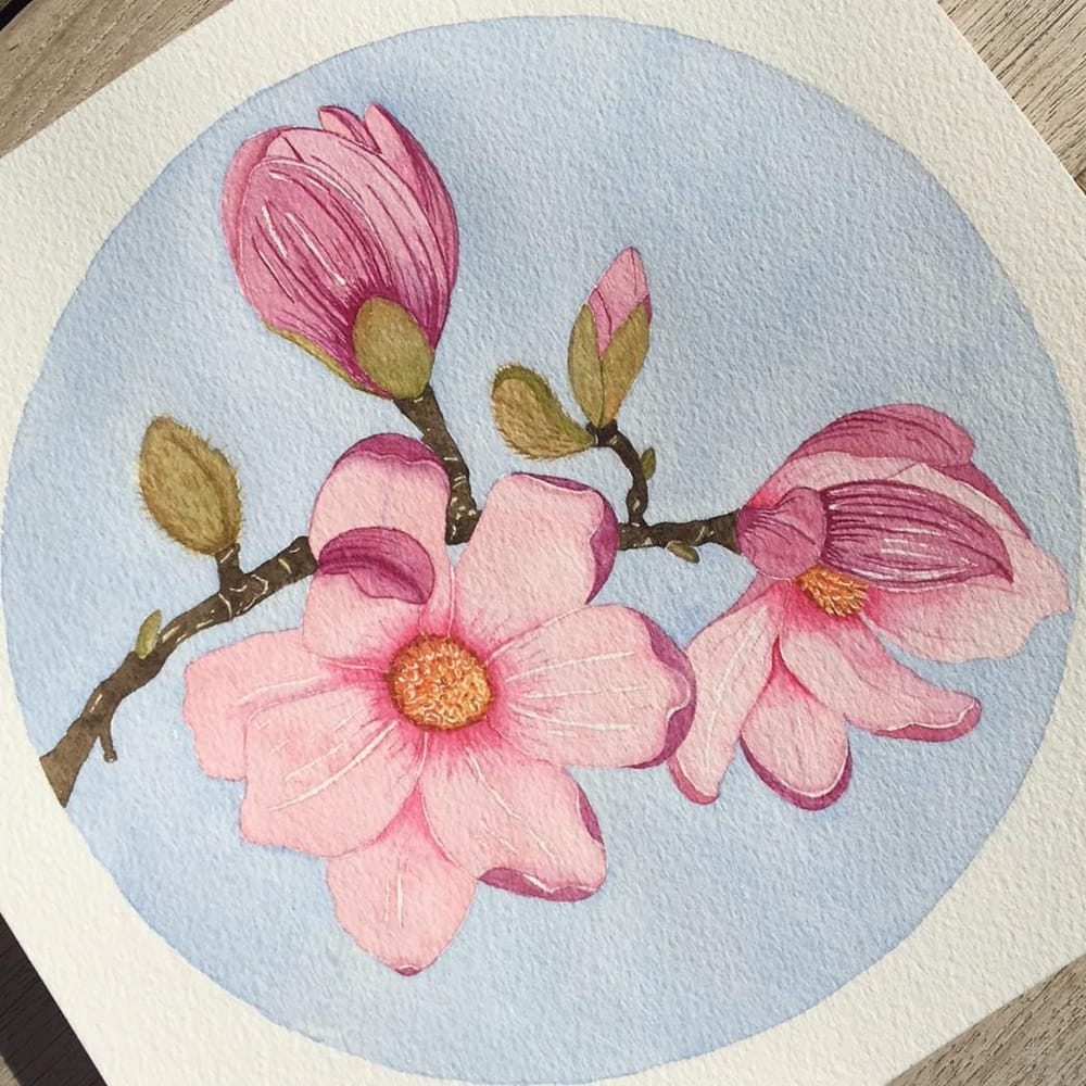 My Magnolia - image 2 - student project
