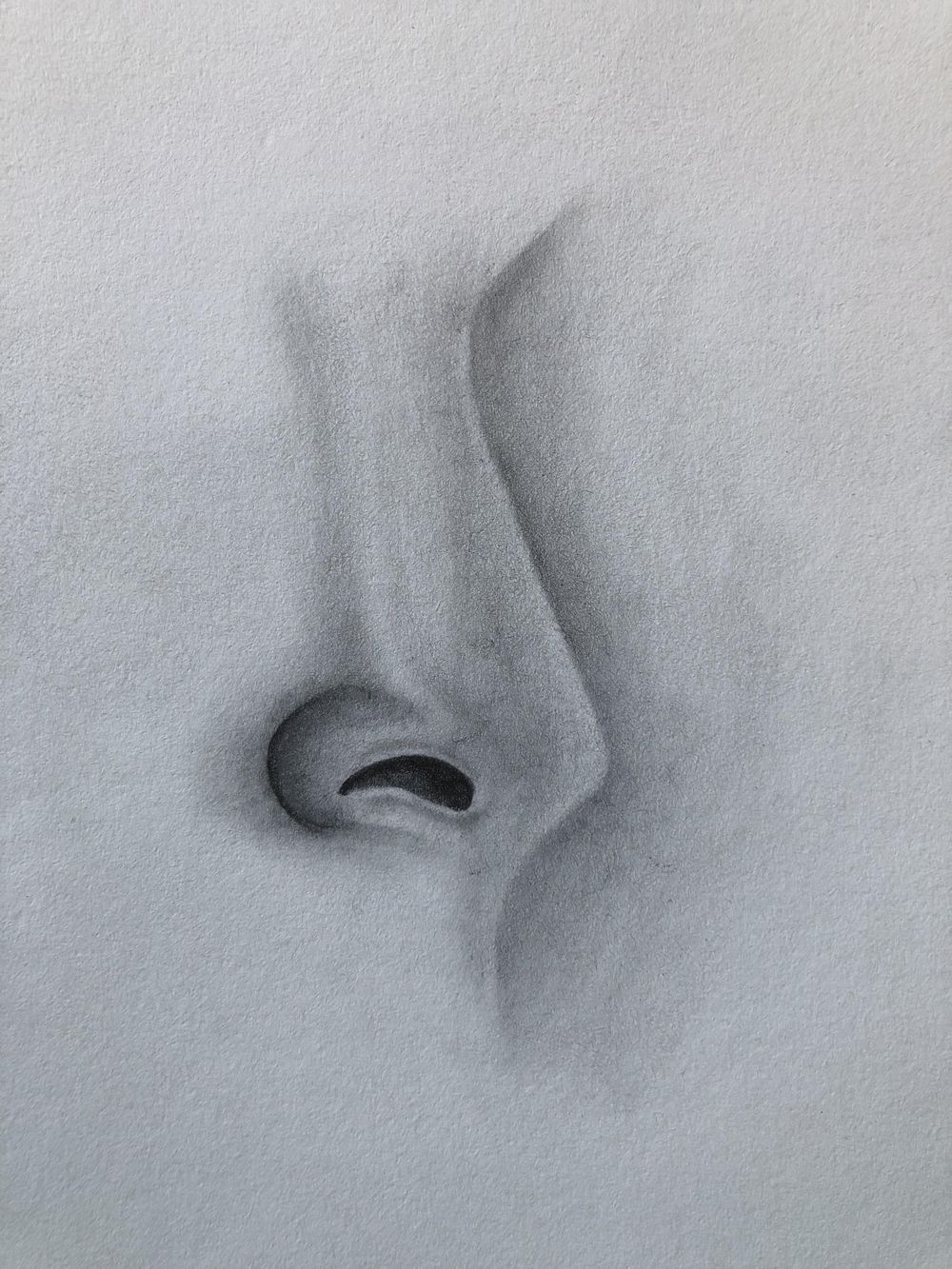 Nose Drawing Techniques - image 4 - student project