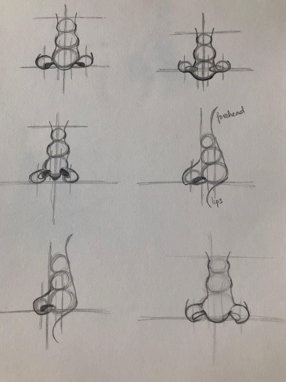 Nose Drawing Techniques - image 1 - student project