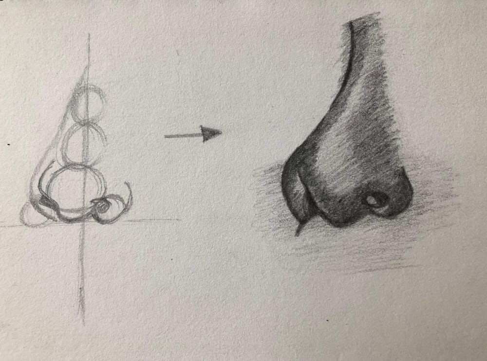 Nose Drawing Techniques - image 2 - student project