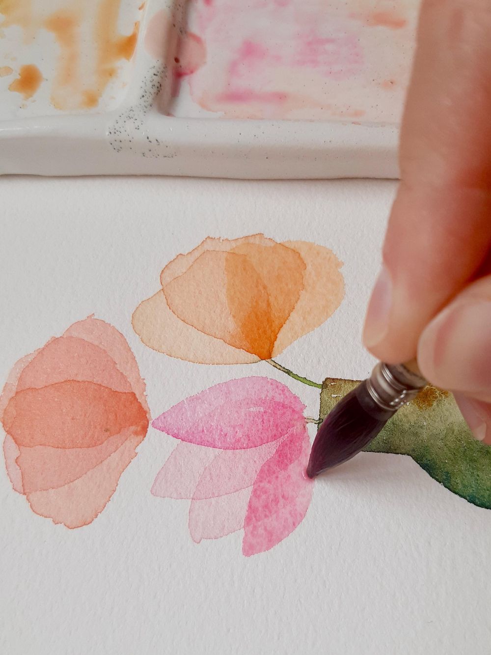 Fleurs en transparence - image 1 - student project