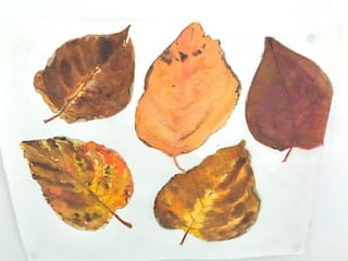 Nature Walk - image 7 - student project