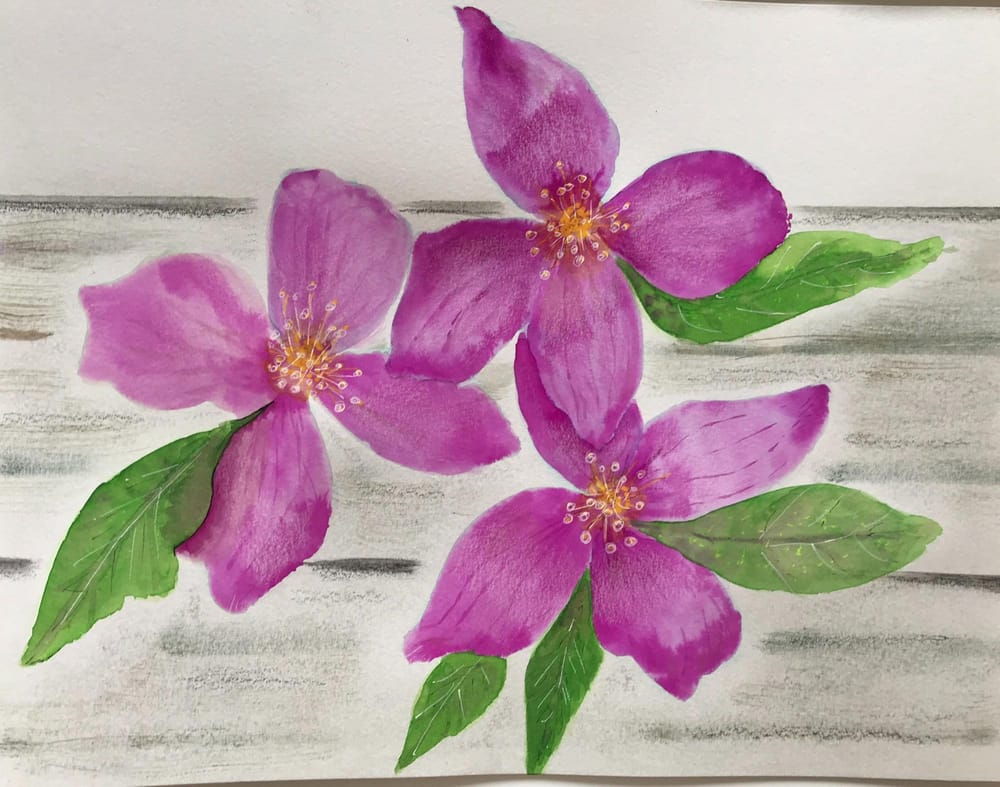 Spring - image 4 - student project