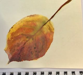 Nature Walk - image 3 - student project