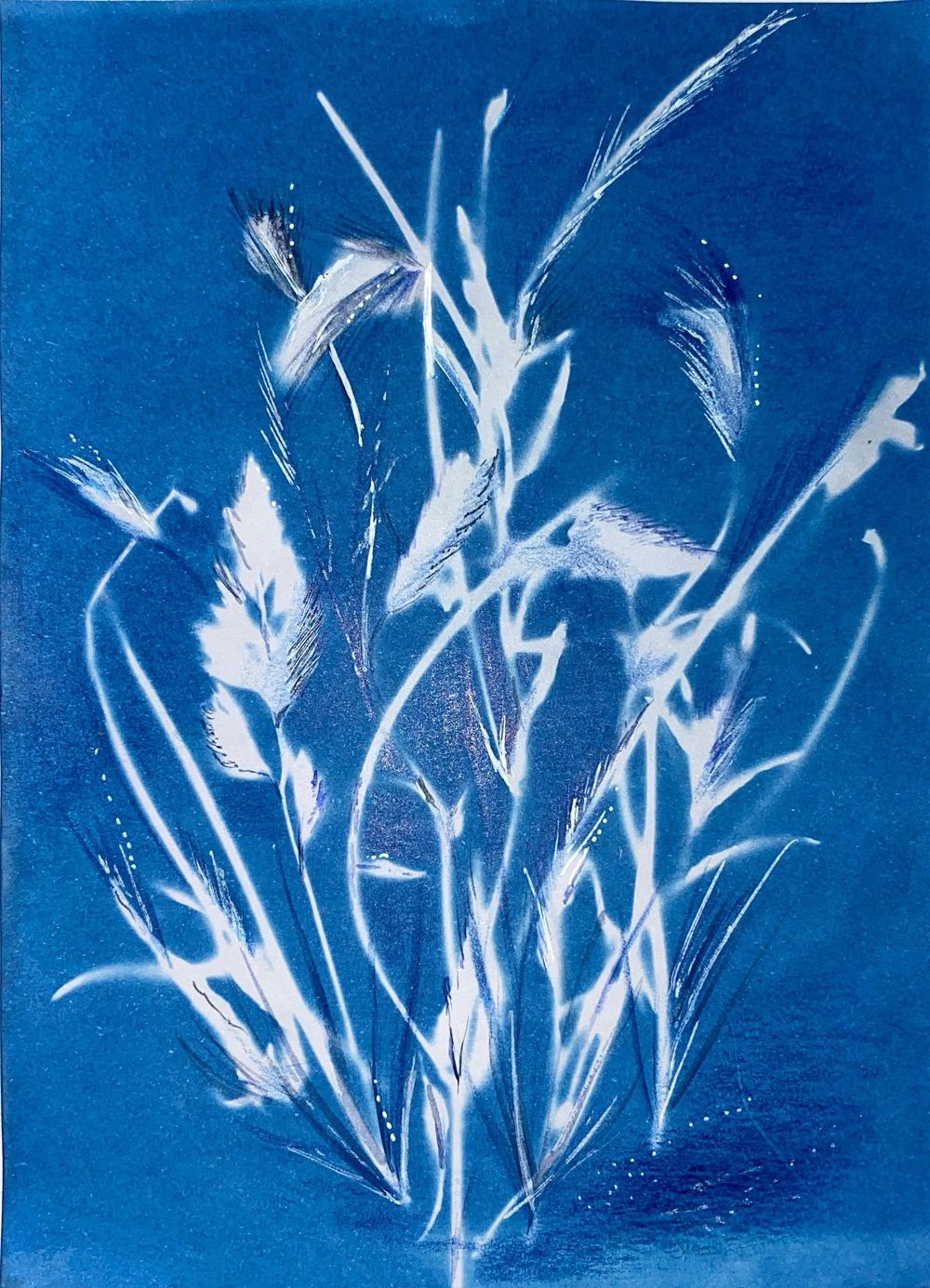 Exploring Cyanotype - image 4 - student project